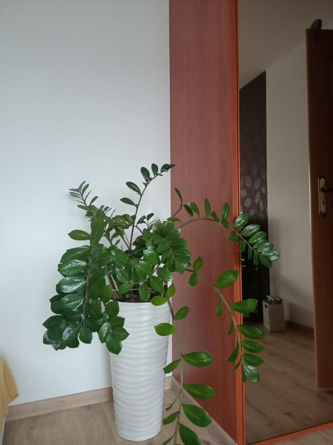 Pomaranczowa Apartment Szczecin Luaran gambar